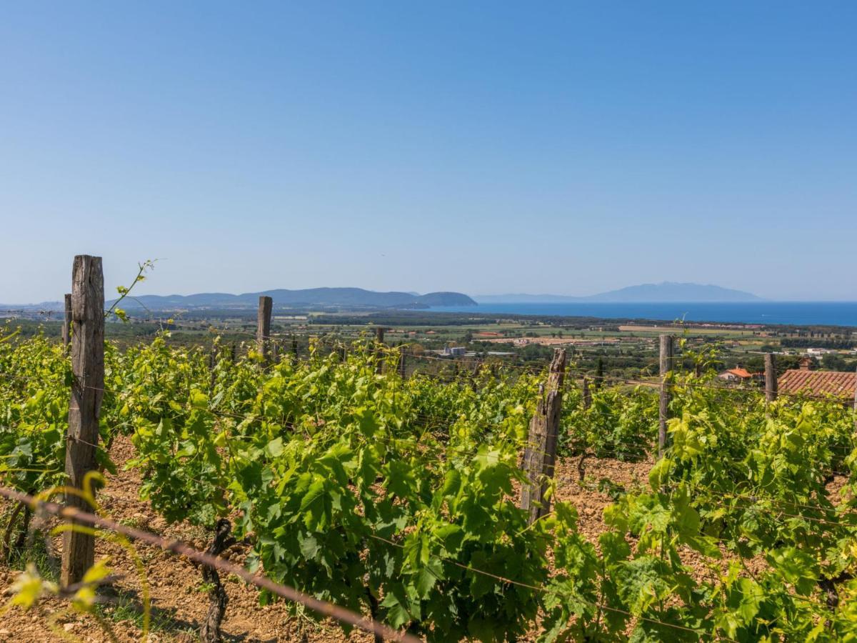 Holiday Home Il Corbezzolo-3 By Interhome San Vincenzo Kültér fotó